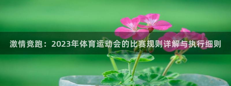 k1体育棋牌网址