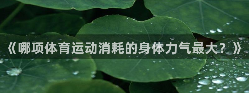 k1体育入口