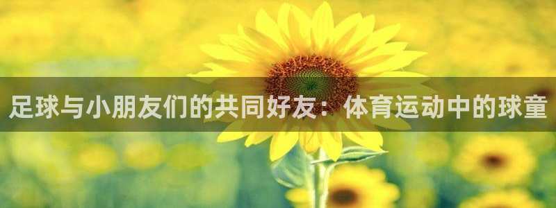 k1体育十年平台