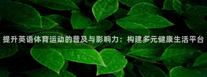 k1体育十年品牌