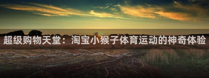k1体育十年品牌官网