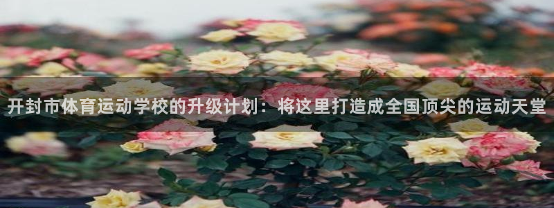 帮k1体育在线登录