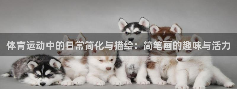 k1体育棋牌