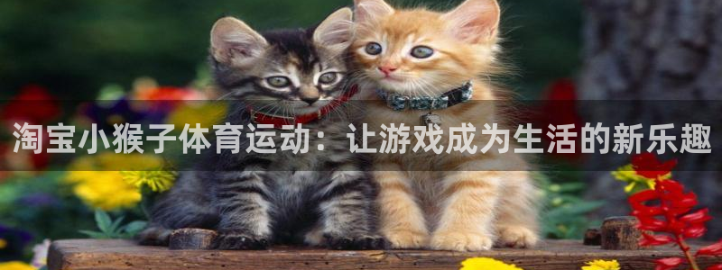 k1体育十年平台