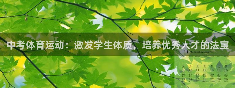 k1体育app官网登录入口
